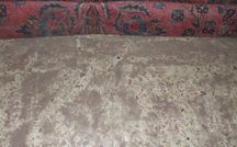 despolvorear una alfombra antigua persa sarough